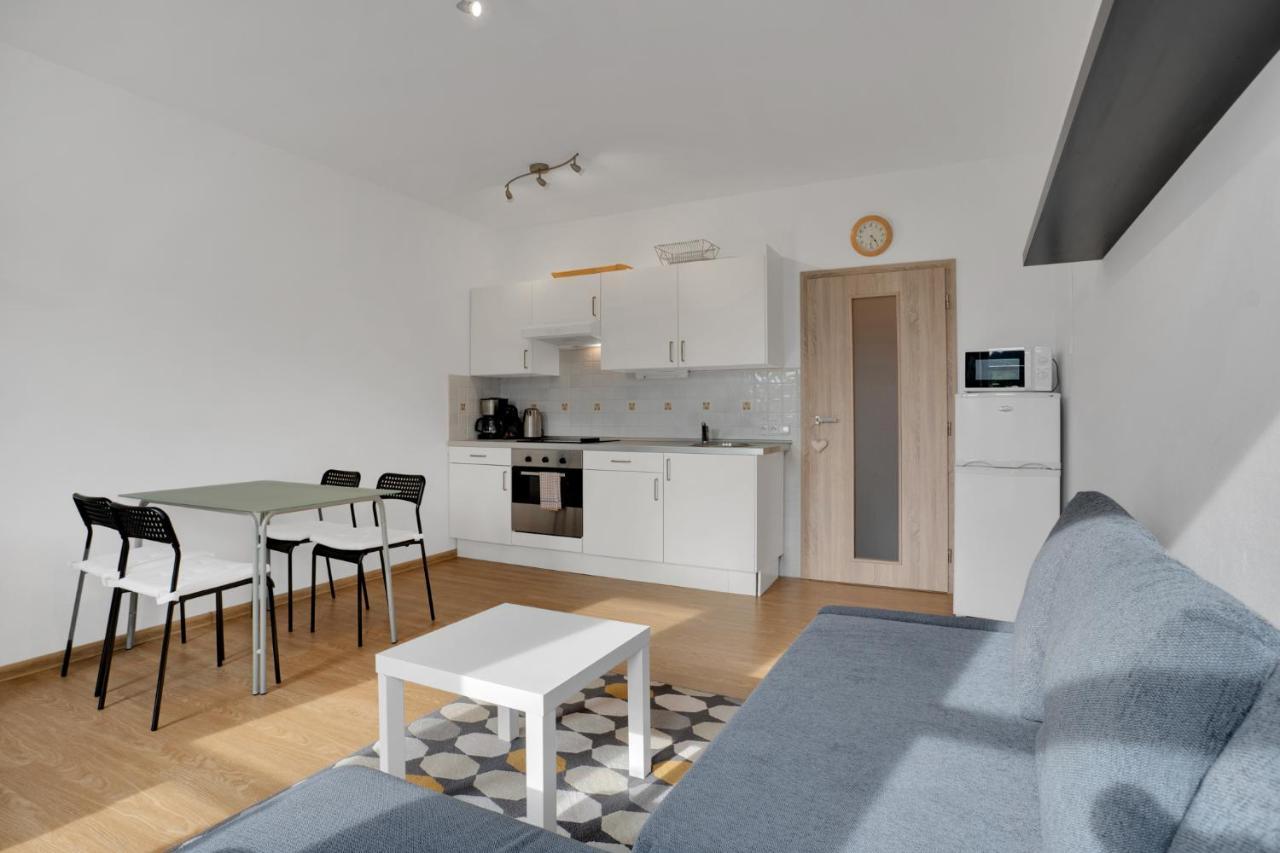 Horsky Apartman Klinovec 4 Лоучна-под-Кліновцем Екстер'єр фото